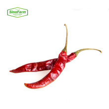 Dry Sweet Red Pepper /Whole Sweet Paprika Pods Dried Red Chili